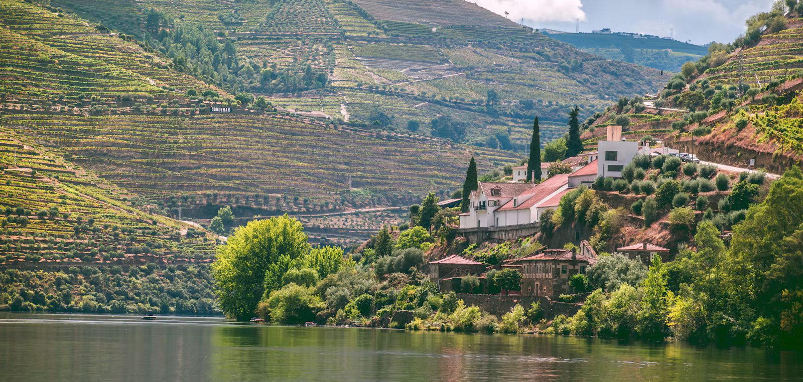 Terraced vineyards above the Douro river near Pinhão, with a quinta's white buildings on the bank